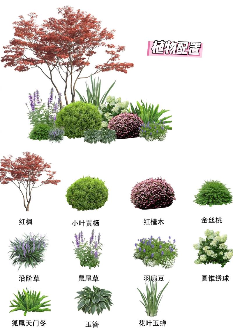 庭院绿化设计：让美景与实用并存的艺术