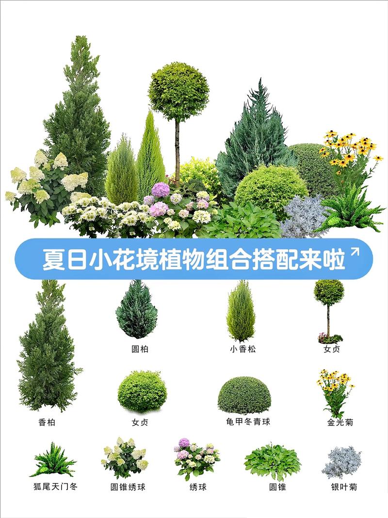 大连:景观设计的现代演绎