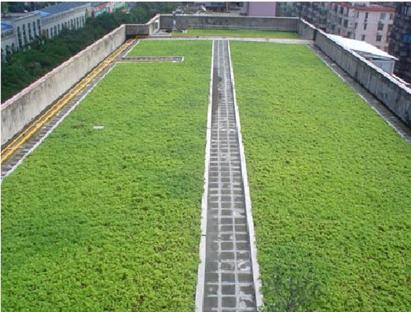 大连景观设计：如何打造城市的亮丽名片